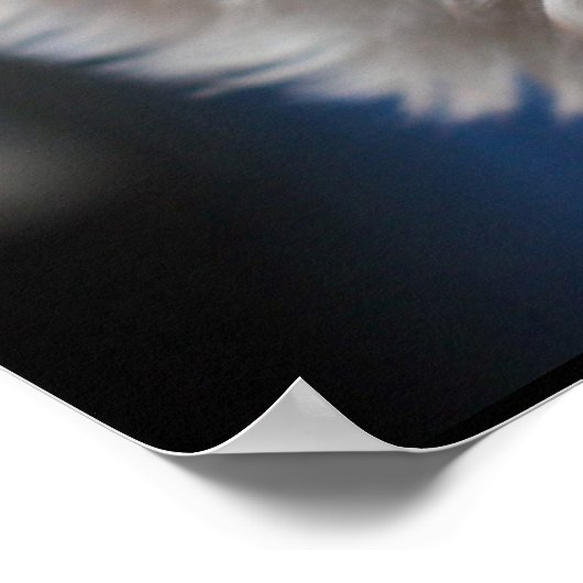 ウルトラキュートペスティウェスティホワイトテリア ポスター (角)