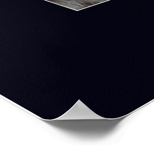 ウルフとレイヴンのリーダーシップやる気を起こさせる ポスター (角)