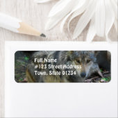 ウルフの宛名ラベルを散策 ラベル (インサイチュ)