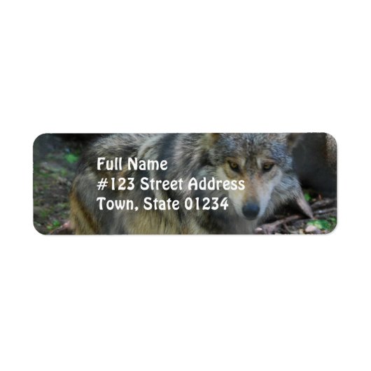 ウルフの宛名ラベルを散策 ラベル (正面)