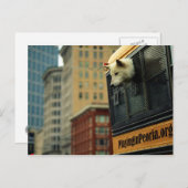 ウルフはがき ポストカード (正面/裏面)