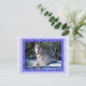 ウルフはがき ポストカード (スタンド正面)