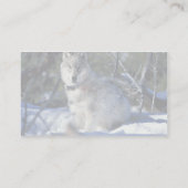 ウルフは、イエローストーン国立Paで生物学者を見る 名刺 (裏面)