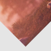 ウルフインウィルダネスデコページティッシュペーパー 薄葉紙 (詳細)