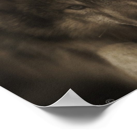 ウルフガール ポスター (角)