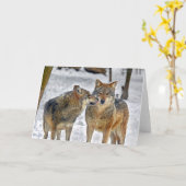 ウルフキス カード (黄色い花)