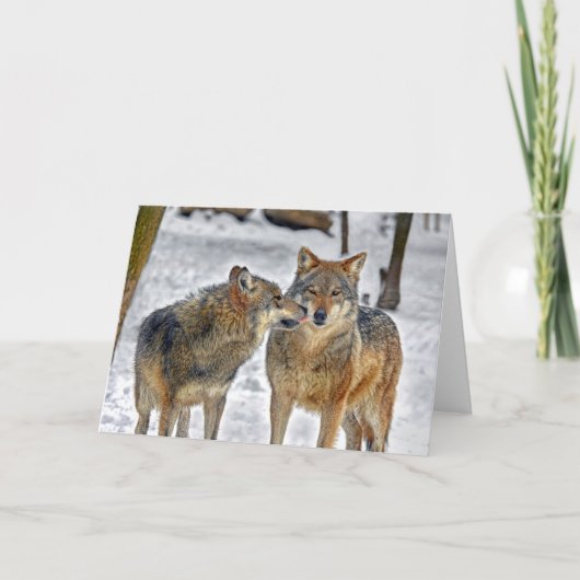 ウルフキス カード (正面)