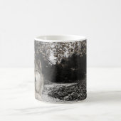 ウルフクリークブルックフォレストランドスケープ コーヒーマグカップ (中央)