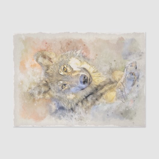 ウルフグレーハンターオータムウォーター色 薄葉紙 (正面)