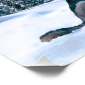 ウルフコール フォトプリント            (角)