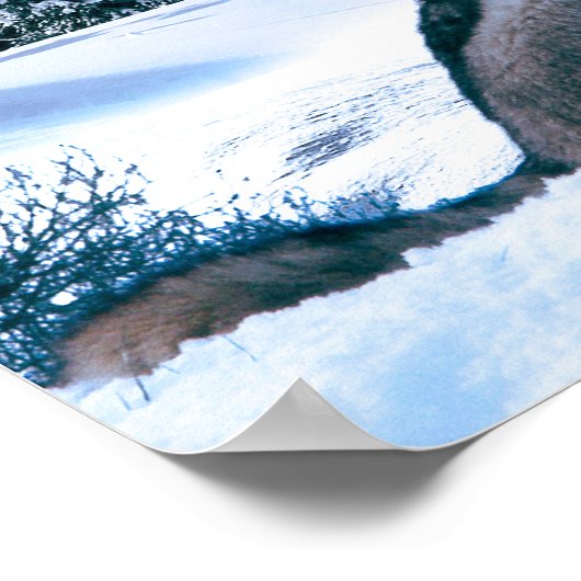 ウルフコール ポスター (角)