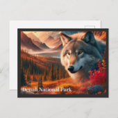 ウルフサンセットデナリ州パークハガキ ポストカード (正面/裏面)
