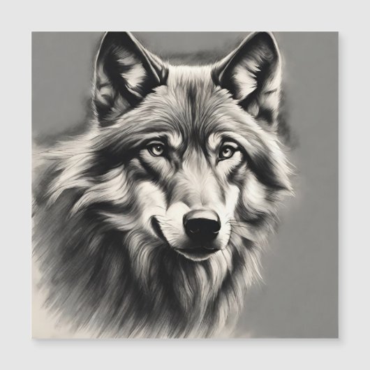 ウルフスケッチ (正面)