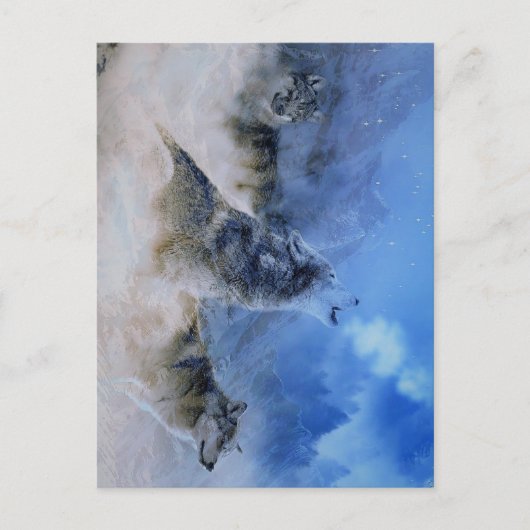 ウルフスピリッツ ポストカード (正面)