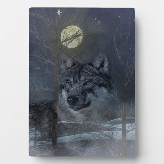 ウルフスピリットムーンナイト フォトプラーク (正面)