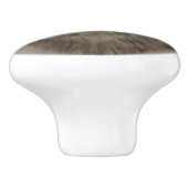 ウルフセラミックノブ セラミックノブ (側面)