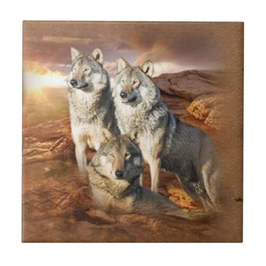 ウルフトリオ タイル (正面)