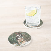 ウルフドッグコースター コースター (側面)