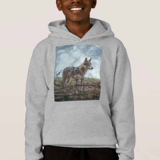 ウルフドッグフード付きスウェットシャツ (正面)