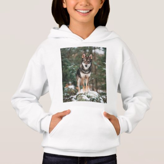 ウルフドッグフード付きスウェットシャツ (正面)