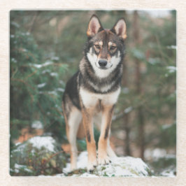 ウルフドッグ ガラスコースター