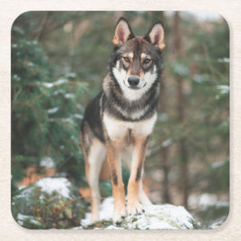 ウルフドッグ スクエアペーパーコースター