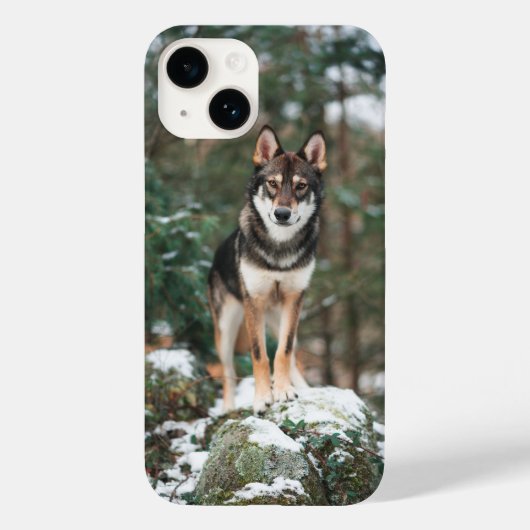 ウルフドッグ iPhone 14 カバー (裏面)