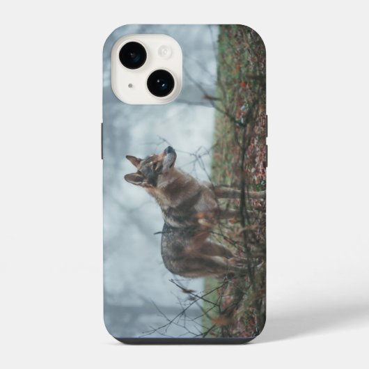 ウルフドッグ iPhone 14 カバー (裏面)