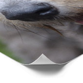 ウルフハウンド ポスター (角)