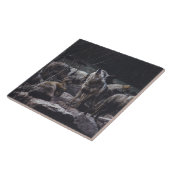 ウルフパックセラミックタイル タイル (側面)