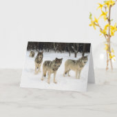 ウルフパック カード (黄色い花)