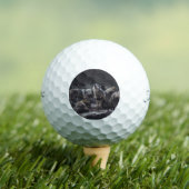 ウルフパック ゴルフボール (インサイチュ 木)