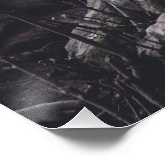 ウルフパック ポスター (コーナー)