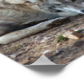 ウルフフレームプリント ポスター (角)