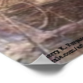 ウルフペンミル ポスター (角)