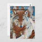 ウルフポストカード ポストカード (正面/裏面)
