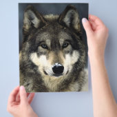 ウルフポートレートフライヤー チラシ (手)