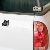 ウルフポートレート バンパーステッカー (トラック上)