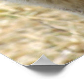 ウルフポートレート ポスター (角)