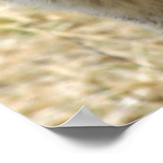 ウルフポートレート ポスター (角)