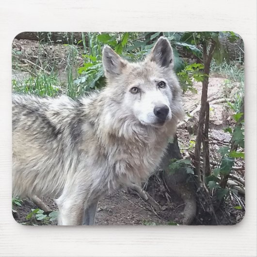 ウルフマウスパッド マウスパッド (正面)