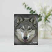 ウルフマウンテンサンクチュアリ – Istasポストカード ポストカード (スタンド正面)