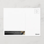 ウルフマウンテンサンクチュアリ – Istasポストカード ポストカード (裏面)