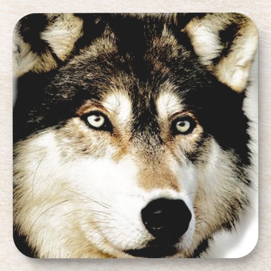 ウルフユニークやる気を起こさせる コースター (正面)