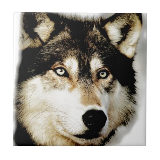 ウルフユニークやる気を起こさせる タイル (正面)