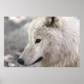 ウルフラバーズアート ポスター (正面)