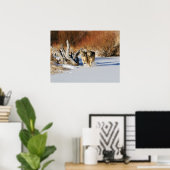 ウルフランニングズのスノーポスター ポスター (ホームオフィス)