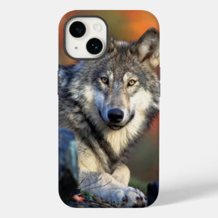 ウルフ写真イメージ Case-Mate iPhone 14ケース