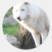 ウルフ写真芸術精神ガイド動物の愛 ラウンドシール (正面)