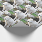 ウルフ写真芸術精神ガイド動物の愛 ラッピングペーパー (角)